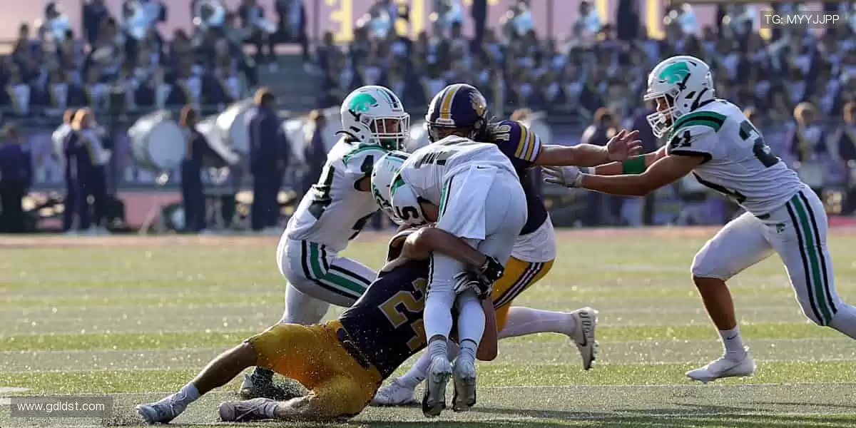 速度与激情交织，赛事直播永不卡顿！💨